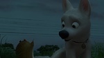 Volt Star Malgré Lui picture