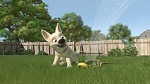 Volt Star Malgré Lui picture