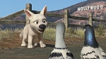 Volt Star Malgré Lui picture