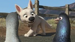 Volt Star Malgré Lui picture