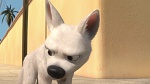 Image Volt Star Malgré Lui