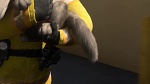 Volt Star Malgré Lui picture