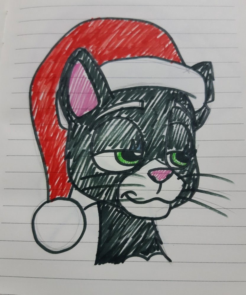 Mittens with a Christmas hat