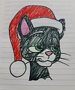 Mittens with a Christmas hat