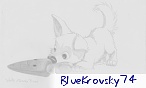 Blue Krovsky