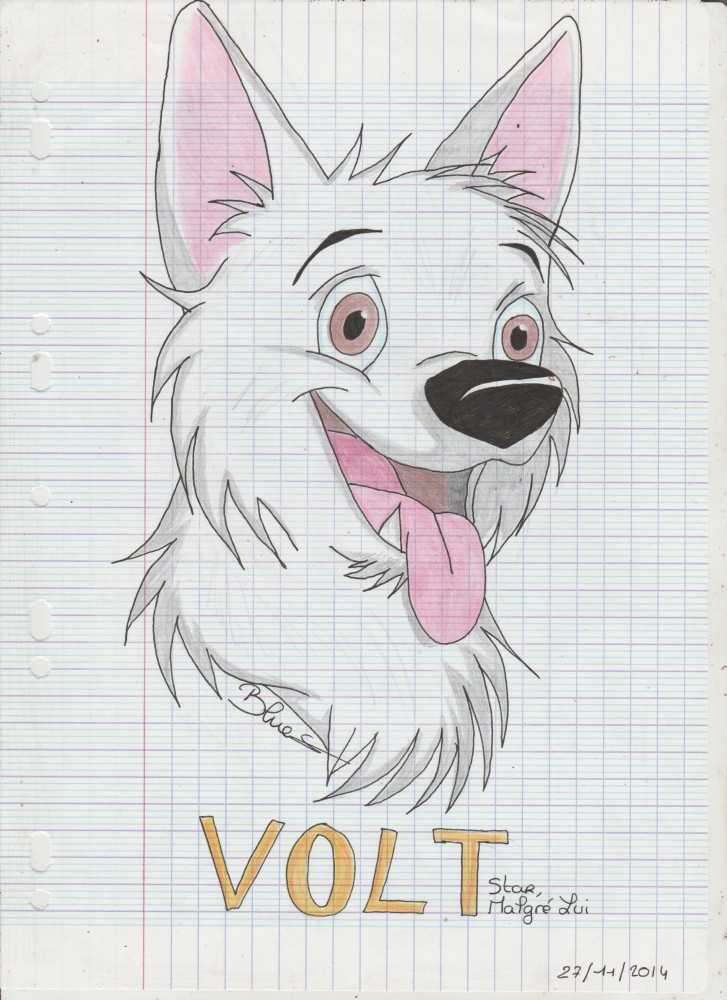 Volt (2014)