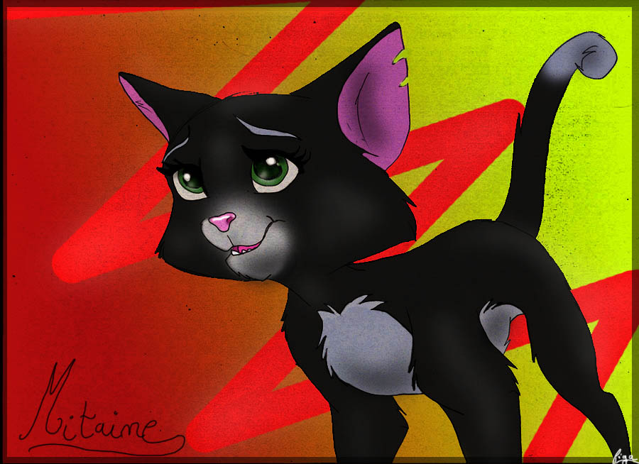 Mitaine coloriée