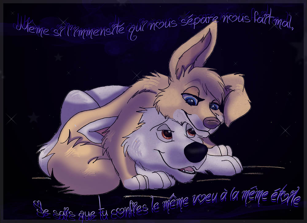 Un cadeau pour mes amis