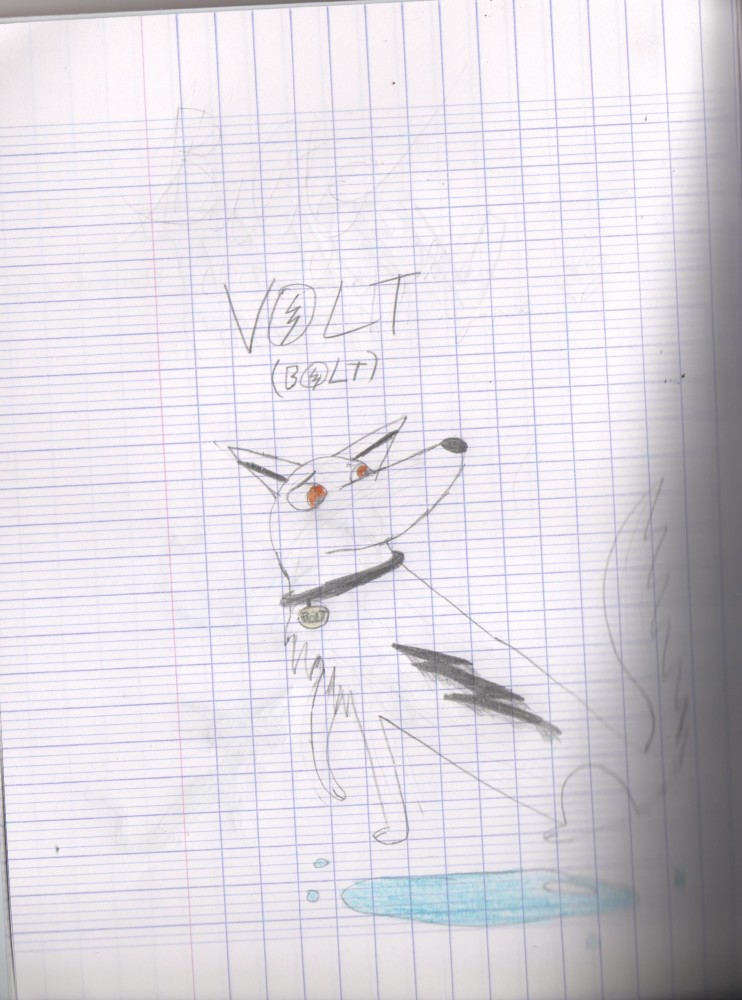 Volt