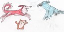 Kodi, Rhino, Perla(défi AS)