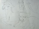 Projet Parallèle : Don't touch the Foals !!