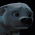 Sød