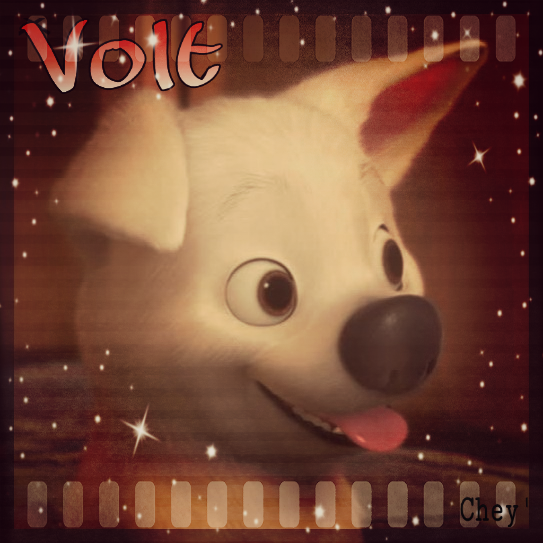 Avatar Volt libre service