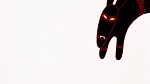 Watership Down picture