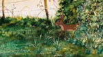 Watership Down picture