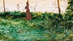 Watership Down picture