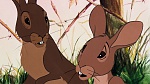Watership Down picture