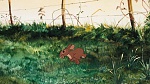 Watership Down picture
