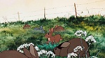 Watership Down picture