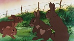 Watership Down picture