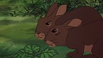 Watership Down picture