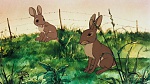 Watership Down picture