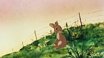 Watership Down picture