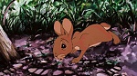 Watership Down picture