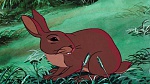 Watership Down picture