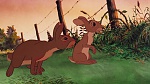 Watership Down picture