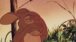 Watership Down picture