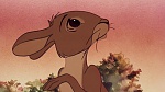 Watership Down picture
