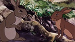 Watership Down picture
