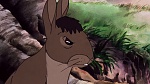 Watership Down picture