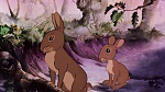 Watership Down picture