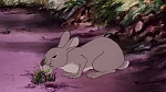 Watership Down picture