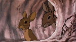 Watership Down picture