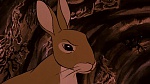 Watership Down picture