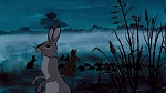 Watership Down picture