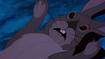 Watership Down picture