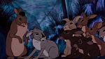 Watership Down picture
