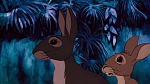 Watership Down picture