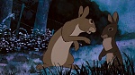 Watership Down picture
