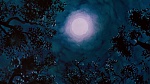 Watership Down picture