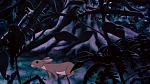 Watership Down picture
