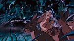 Watership Down picture