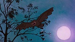 Watership Down picture