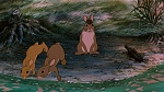 Watership Down picture
