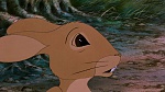 Watership Down picture