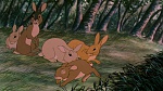 Watership Down picture